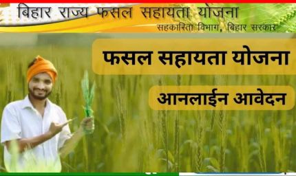 खरीफ की फसल हो गई खराब! राज्य फसल सहायता योजना का उठाएं लाभ