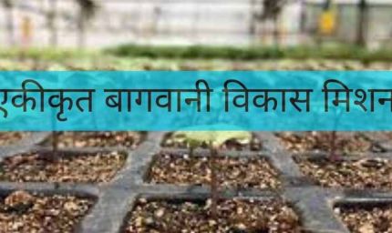 एकीकृत बागवानी विकास मिशन अंतर्गत मखाना अवयवों की योजना को स्वीकृति