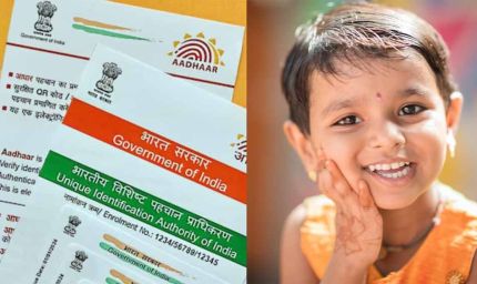 विद्यार्थियों की अनिवार्य बायोमेट्रिक अपडेट स्थिति अब UDISE+ पोर्टल में स्कूल प्राचार्यों के लिए उपलब्ध