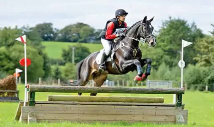 देश का नंबर 1 घोड़ा भोपाल में, 12 साल में 27 मेडल जीतकर बना चैंपियन