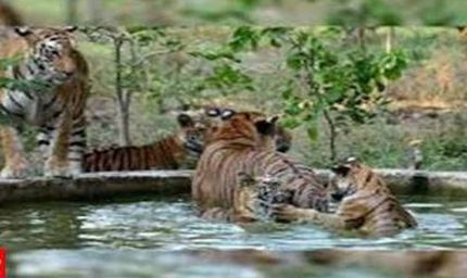 मुख्यमंत्री डॉ. यादव की उपस्थिति में वन्यजीवों के पुर्नवास के लिए हुआ एमओयू