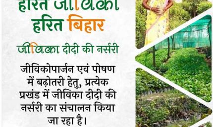 राज्य की हरियाली संवारने में अहम भूमिका निभा रही हैं जीविका दीदियां