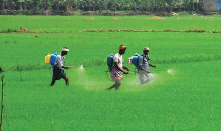 छत्तीसगढ़ में रासायनिक खाद पर्याप्त, किसानों को नैनो खाद के उपयोग के लिए किया जा रहा जागरूक