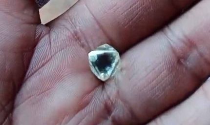 पन्ना में मिला 4.90 कैरेट का नायाब हीरा, कीमत 10 लाख और नीलामी में लगेगी बोली