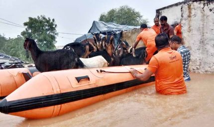 जयपुर में मूसलाधार बारिश, अगले 3 दिन प्रदेश के 37 जिलों में अलर्ट जारी
