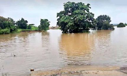 उफान पर गोदावरी: बीजापुर-हैदराबाद NH-163 पर यातायात ठप