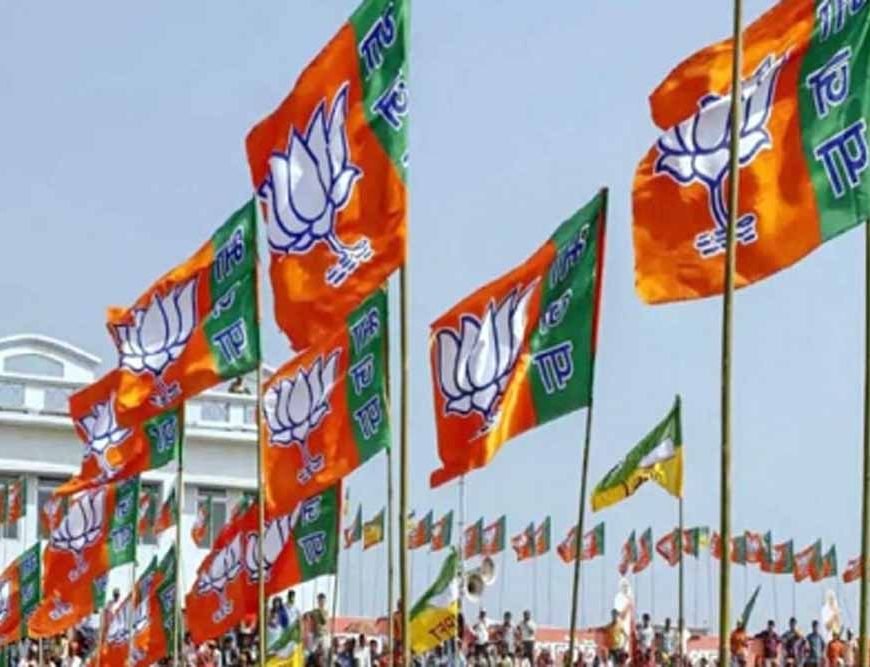 एमपी में भगवा दल की वापसी, दो नगर परिषदों के अध्यक्ष बने बीजेपी के