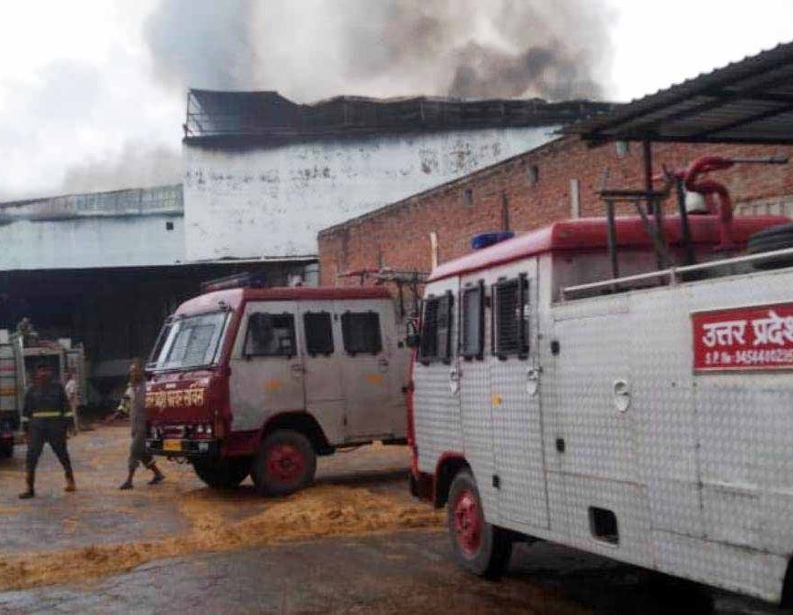 शॉर्ट सर्किट से मशरूम प्लांट में भयंकर आग, अफरातफरी मची; करोड़ों का सामान खाक