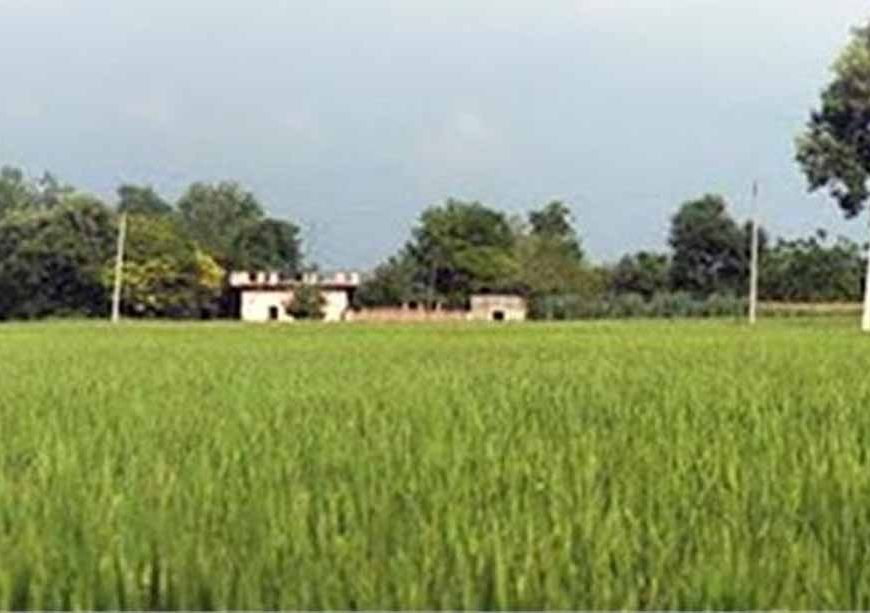 पंजाब में वहीं 14 अगस्त को राज्य में भारी बारिश का अनुमान