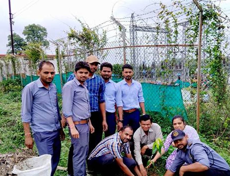 औषधि वाटिका विकास के लिए एम.पी. ट्रांसको में पौधारोपण