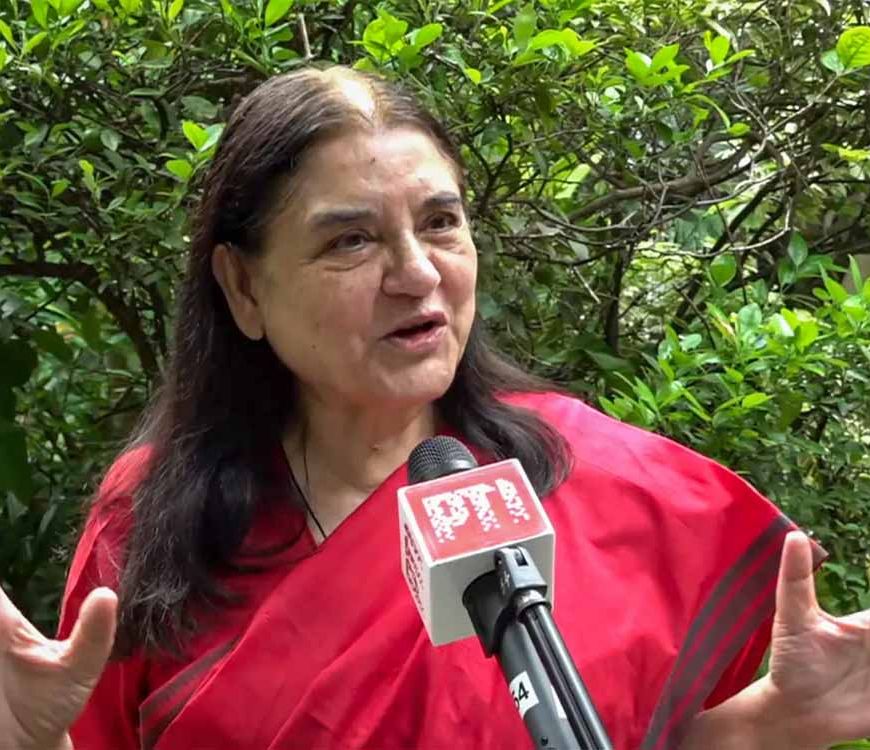 आवारा कुत्तों पर SC के आदेश से नाराज मेनका गांधी, बोलीं- गुस्से में लिया गया फैसला