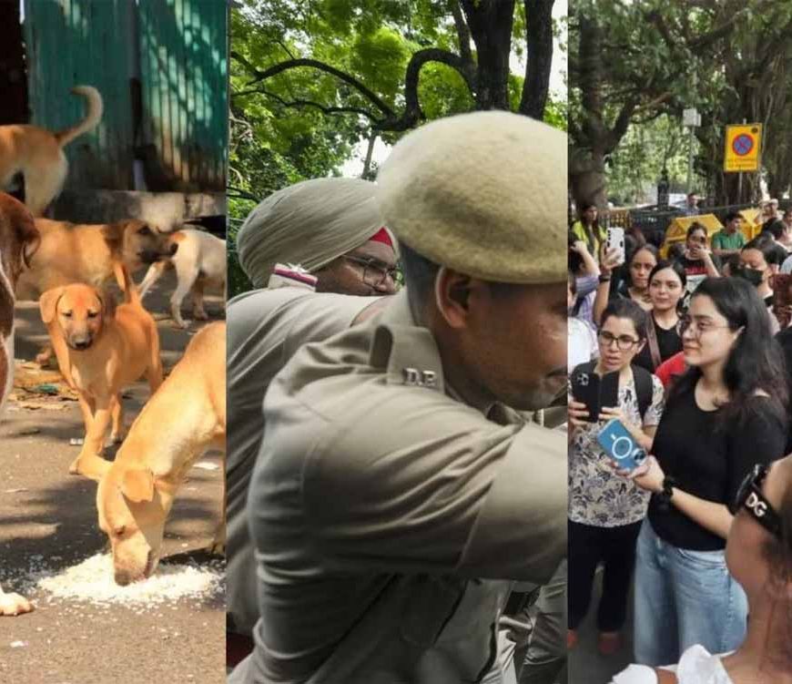 आवारा कुत्तों के आदेश के खिलाफ हंगामा, दिल्ली पुलिस ने शांत कराया और केस दर्ज किया