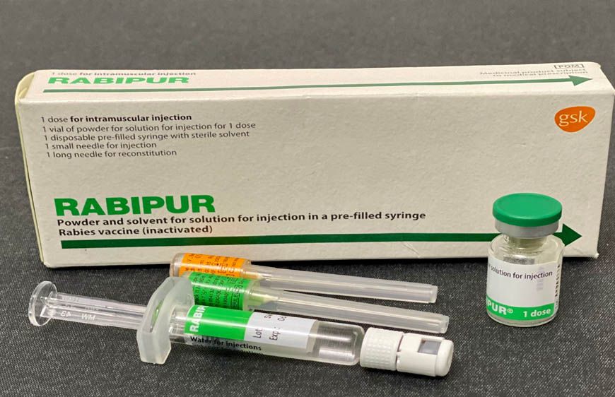 रायपुर : बस्तर संभाग में एंटी रेबीज वैक्सीन की पर्याप्त उपलब्धता