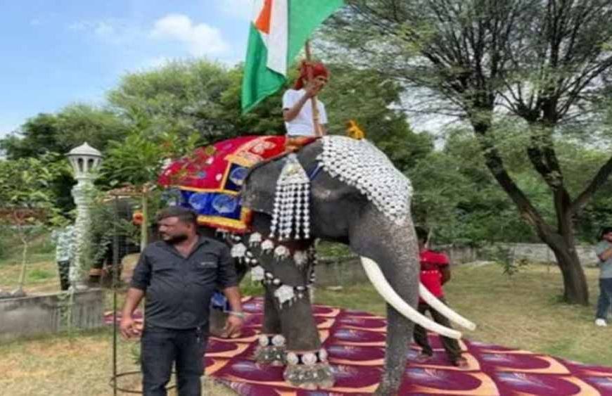 हाथियों का फैशन जलवा: रैम्प पर बिखेरी अनोखी अदाएं, मनाया विश्व हाथी दिवस