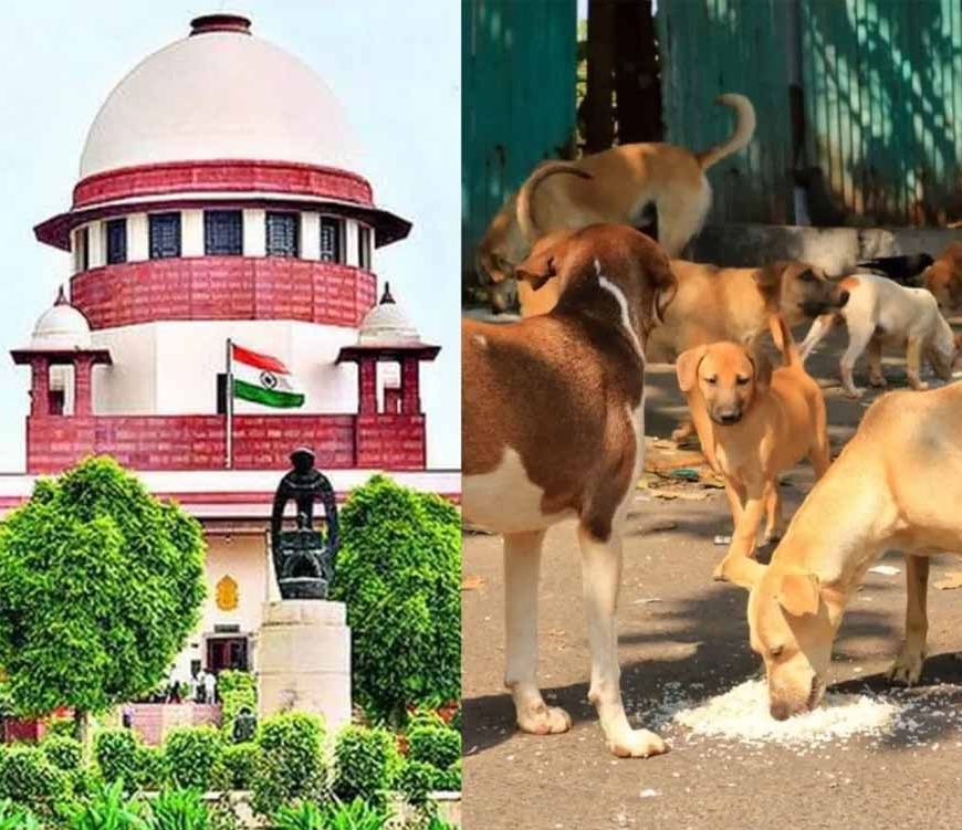 दिल्ली-NCR में कुत्तों से जुड़ा मामला अब CJI की निगरानी में