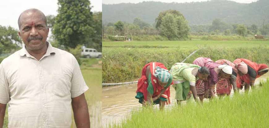 समय पर मिला खाद, खिल उठी उम्मीदें, संतोष की मेहनत में भरेंगे रंग