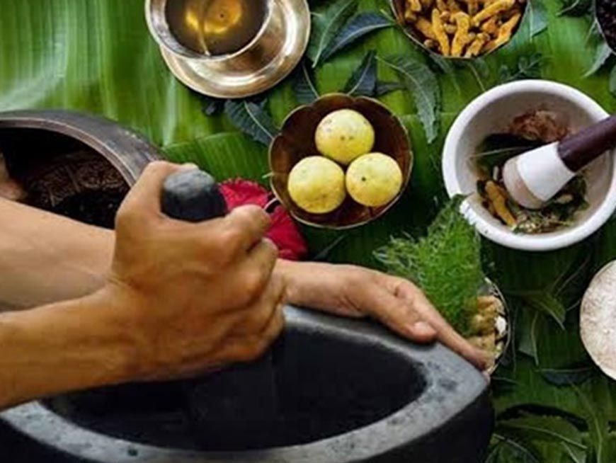 आदिवासी परंपरागत औषधि ‘चिपकू’ पौधा टीबी और मूत्र रोगों में कारगर