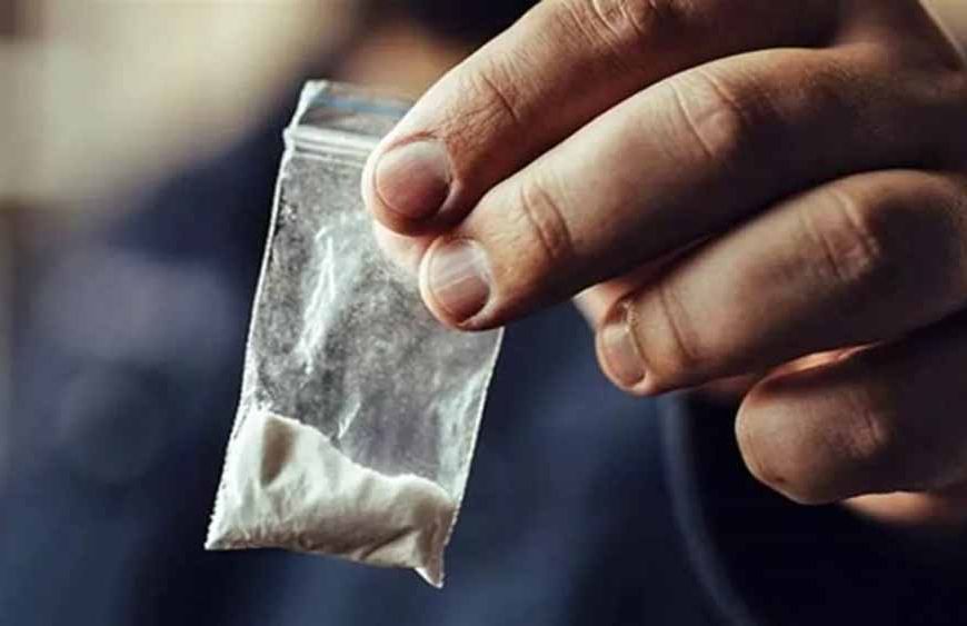 सरकारी जमीन पर कब्जा कर मछली परिवार ने खड़ा किया करोड़ों का साम्राज्य