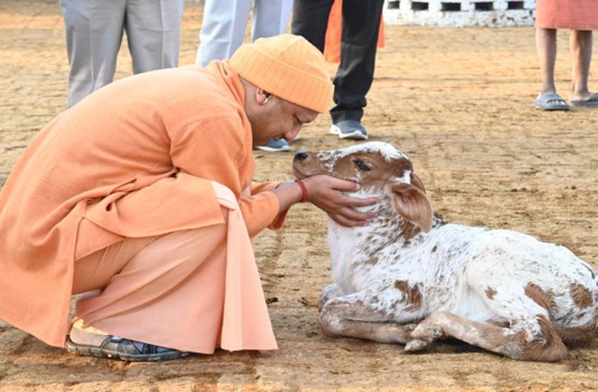 सीएम योगी के नेतृत्व में गो सेवा से तरक्की करेगा यूपी