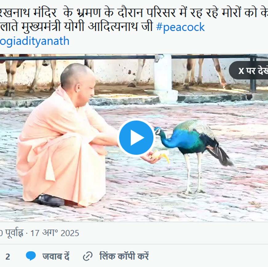 गोरखनाथ मंदिर के दौरे पर मुख्यमंत्री, योगी के हाथों में केला, सामने से दौड़कर आया मोर फिर…