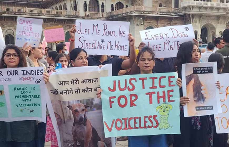 जयपुर में स्ट्रीट डॉग समस्या पर बड़ा आंदोलन, मानवीय व वैज्ञानिक समाधान की उठी मांग