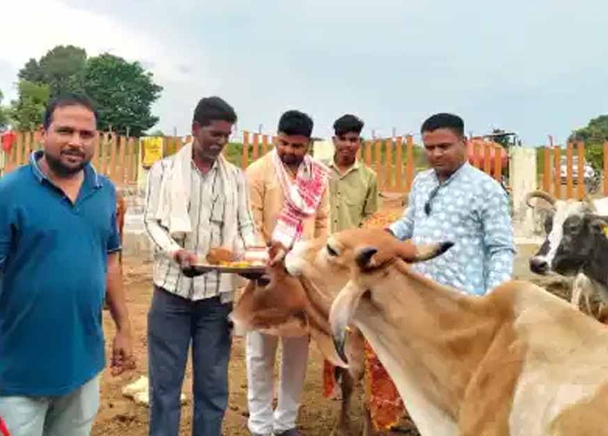 गोसंरक्षण: सिर्फ परंपरा नहीं, हमारी जिम्मेदारी भी