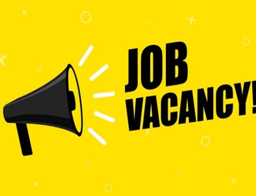 JOB ALART : बिहार एसएससी से बड़ी खुशखबरी! इस साल 12,543 पदों पर होगी बहाली, युवाओं को मिलेगा रोजगार