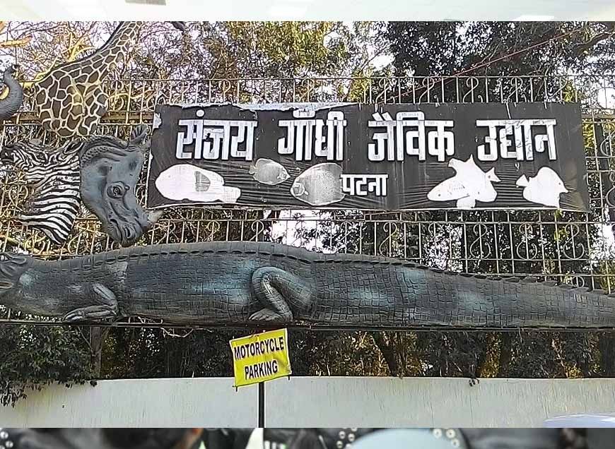 पशुओं की ब्लडलाइन चेंज करने की कवायद में जुटा पटना जू