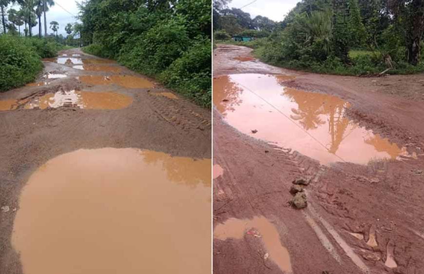 60 लाख की सड़क बनी दलदल: गड्ढों और झाड़ियों में समाई, ठेकेदार को नोटिस