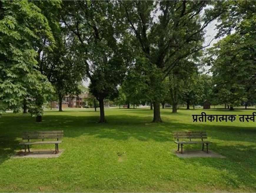 सैनिकों के सम्मान में शहर में तैयार हुआ 'ऑपरेशन सिंदूर पार्क', DGP ने पौधा रोपकर किया सलाम