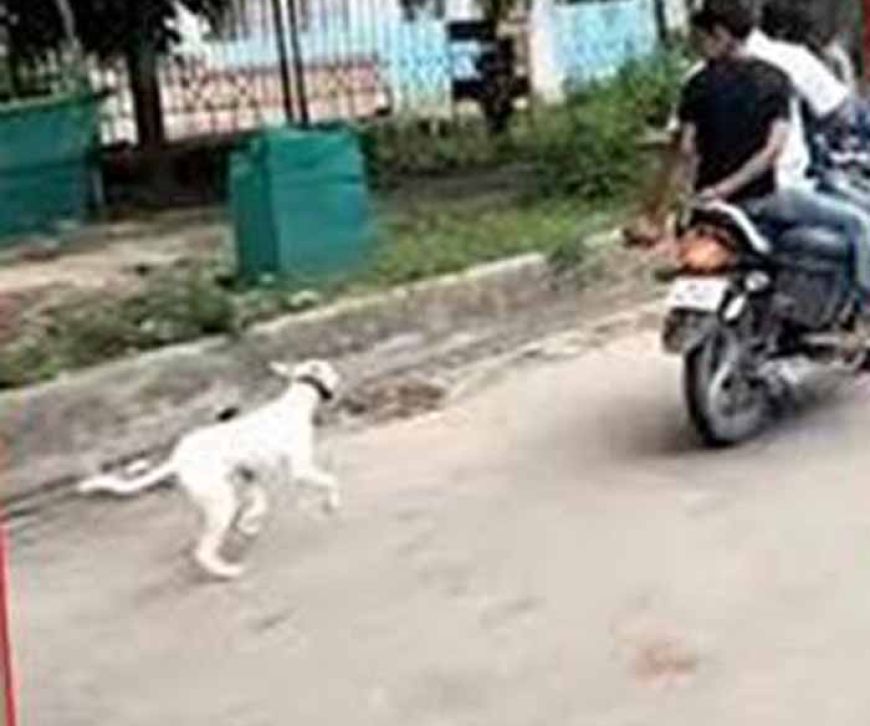 क्रूरता का शर्मनाक वीडियो: कुत्ते को बाइक के पीछे बांधकर दौड़ाया गया