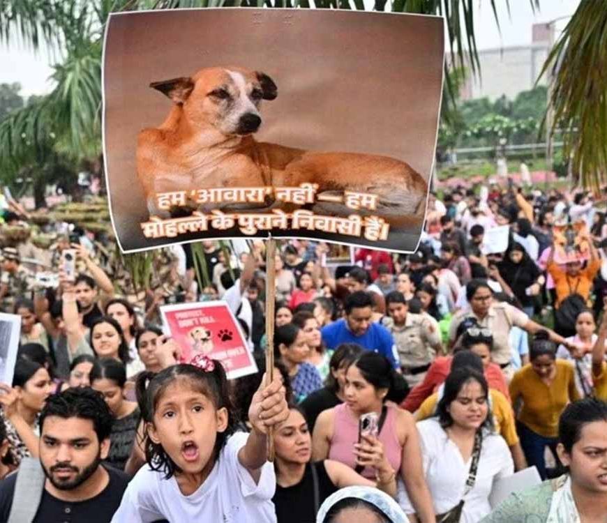 लावारिस कुत्तों पर SC के फैसले से खुश राहुल गांधी, बताए 2 बड़े फायदे