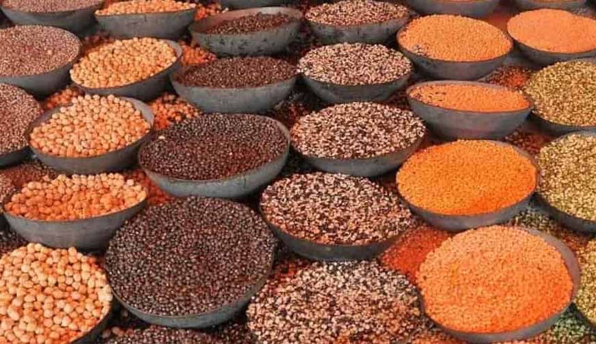 भारत के टॉप दाल उत्पादक राज्यों की लिस्ट: UP 5वें नंबर पर, जानें नंबर 1 और 2