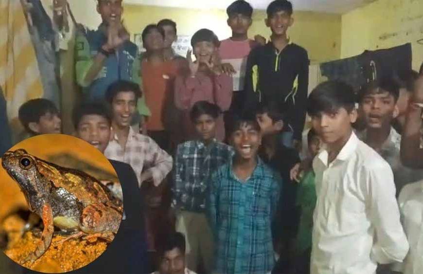 एमपी के आदिवासी हॉस्टल में लापरवाही! खाने की सब्जी में निकला मरा मेंढक