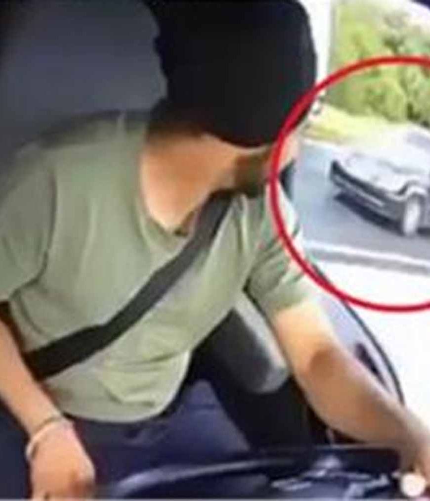 अमेरिका में संकट में भारतीय ड्राइवर, लाखों पंजाबी फंसे मुश्किल में; मोदी सरकार से मदद की पुकार