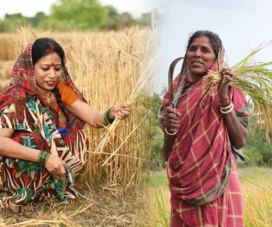 मध्य प्रदेश में समर्थन मूल्य पर अनाज खरीदी को आसान बनाने के लिए गोडाउन को मिले खरीदी केंद्रों की प्राथमिकता