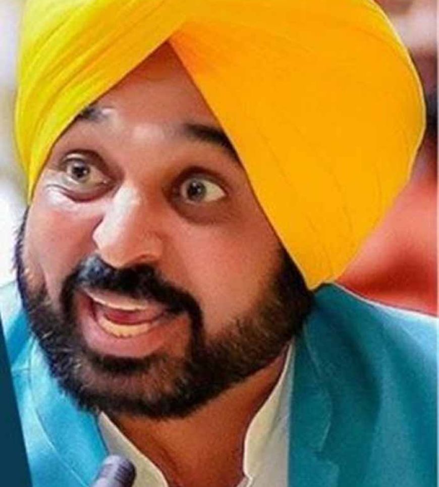 AAP पूर्व मंत्री के घर छापे पर CM मान का वार, बोले- केंद्र कर रहा है राजनीति