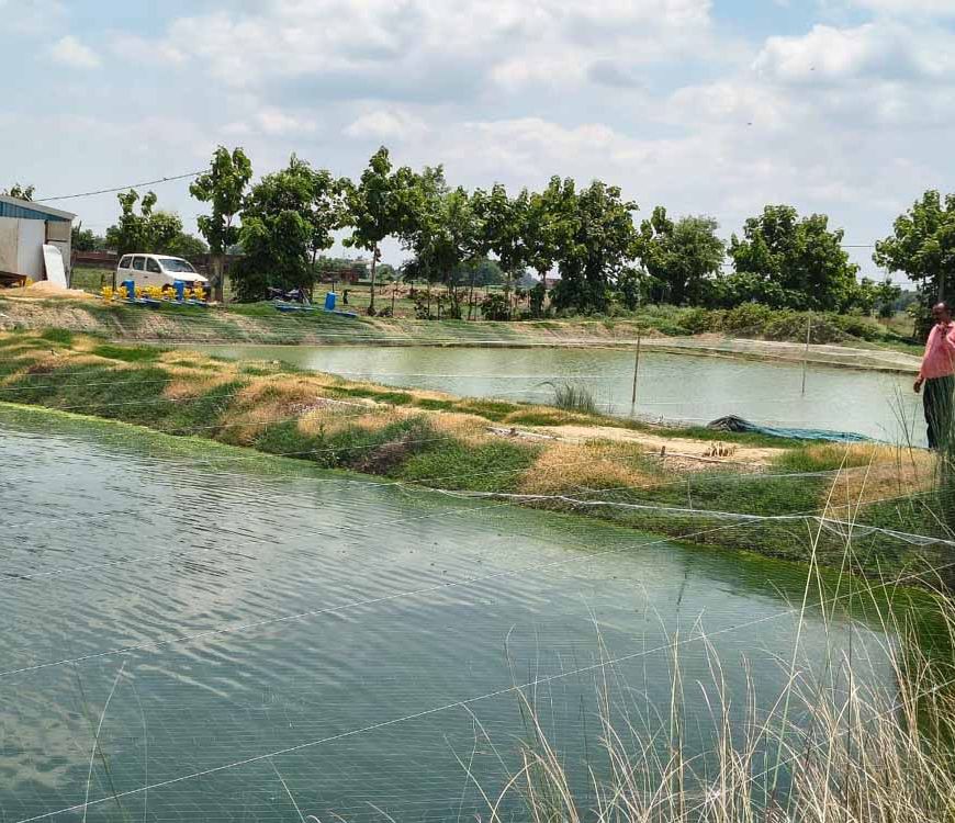 मछली पालकों को सरकार दे रही है आर्थिक सहायता, जल्द से जल्द करें आवेदन