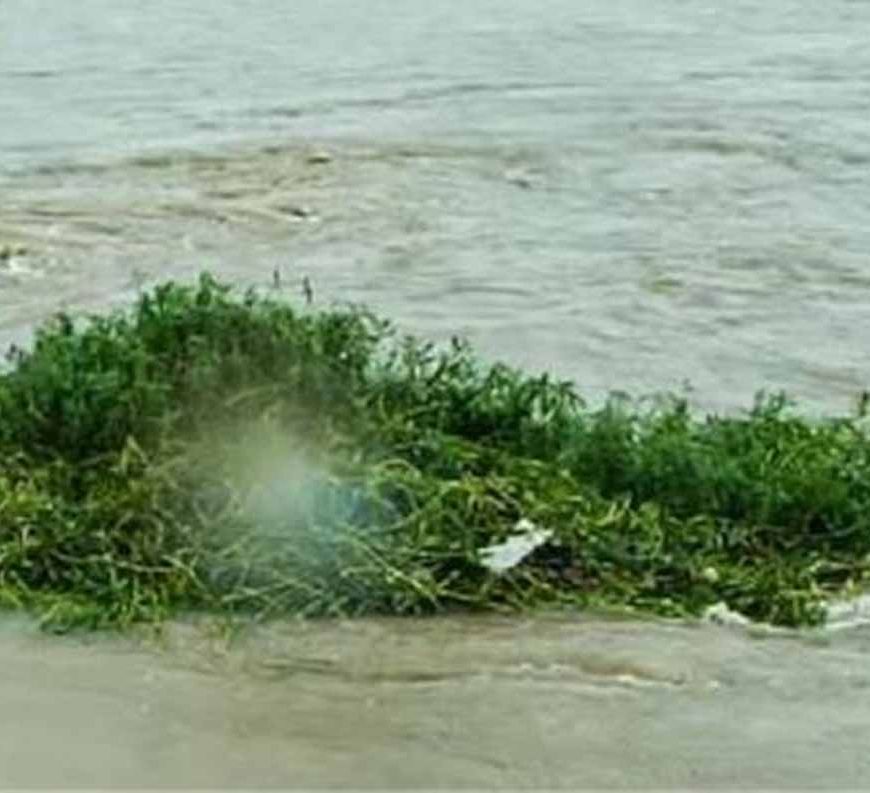 बाढ़ प्रबंधन को लेकर डीएमओ व स्कूल प्रमुखों के लिए जारी हुए खास निर्देश