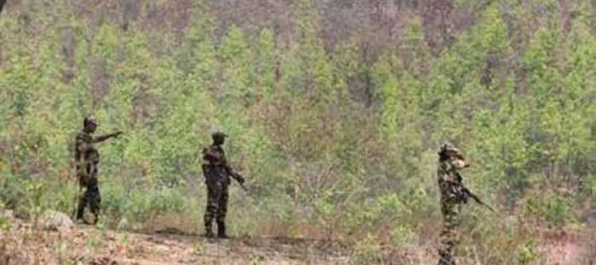 महाराष्ट्र-छत्तीसगढ़ बॉर्डर पर बड़ी कार्रवाई, मुठभेड़ में चार नक्सली ढेर