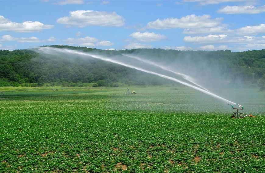 जल-जीवन-हरियाली अभियान से बिहार के 2,41,782 हेक्टेयर खेतों तक पहुंचा सिंचाई का पानी