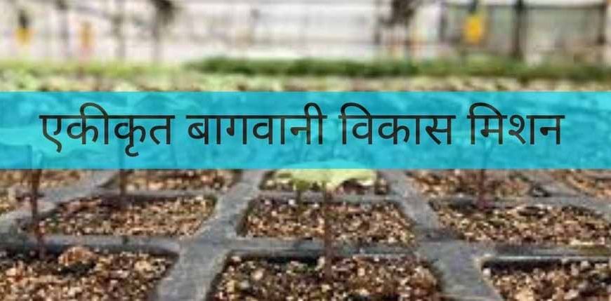 एकीकृत बागवानी विकास मिशन अंतर्गत मखाना अवयवों की योजना को स्वीकृति