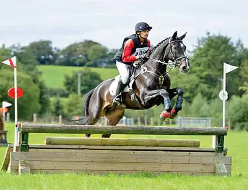 देश का नंबर 1 घोड़ा भोपाल में, 12 साल में 27 मेडल जीतकर बना चैंपियन