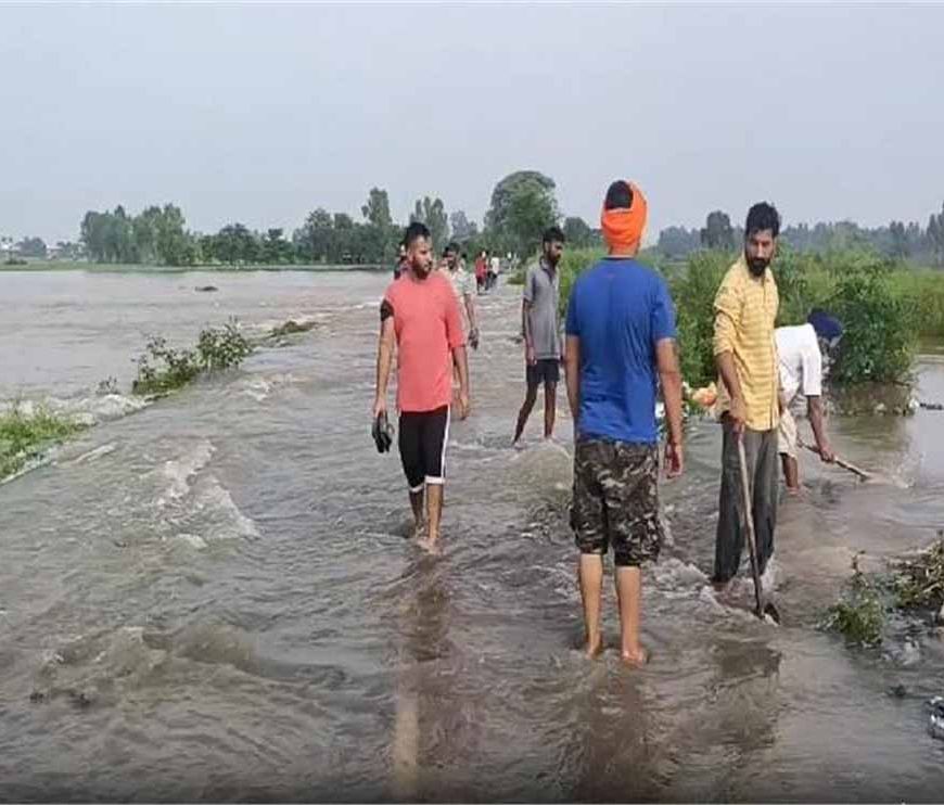 पंजाब में भारी बारिश की तबाही, अब तक 3 लोगों की मौत