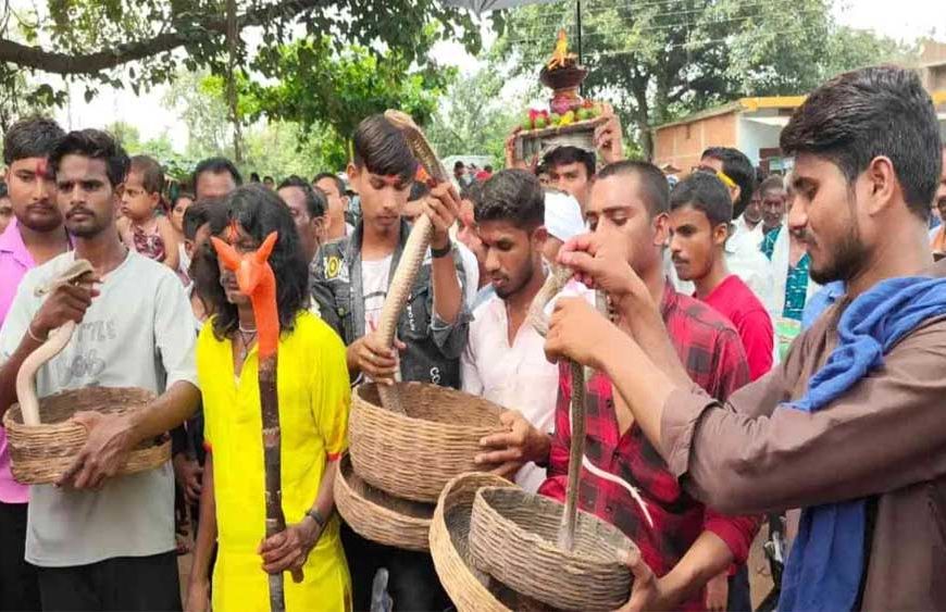 ऋषि पंचमी पर अनोखी परंपरा: सांपों की शोभायात्रा निकाली गई गांव में