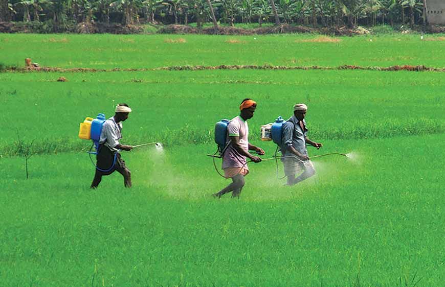 छत्तीसगढ़ में रासायनिक खाद पर्याप्त, किसानों को नैनो खाद के उपयोग के लिए किया जा रहा जागरूक