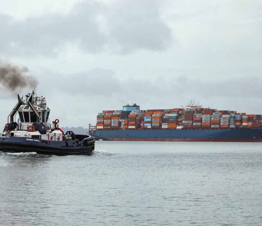 भारत ने तोड़ी ट्रंप टैरिफ की दीवार, यूक्रेन का सबसे बड़ा डीजल सप्लायर बना