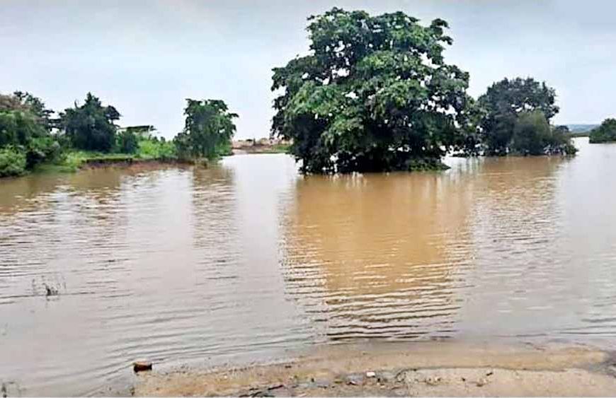 उफान पर गोदावरी: बीजापुर-हैदराबाद NH-163 पर यातायात ठप