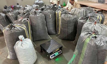 नीमच और मंदसौर बन रहे डोडा चूरा तस्करी के नए केंद्र, पंजाब-हरियाणा तक फैला कॉरिडोर