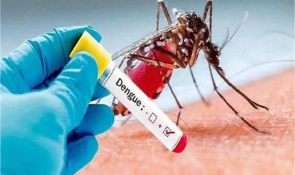 हरियाणा में डेंगू का कहर: 367 मामले, पानीपत में पहली मौत से हड़कंप